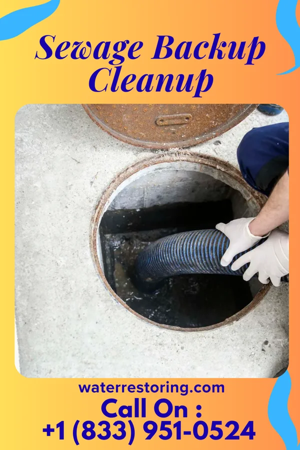 Sewage Backup Cleanup in Williamson, IL